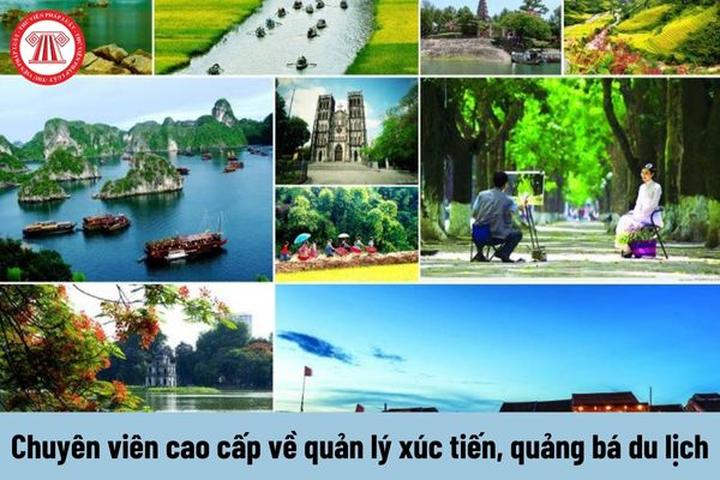 Các nhà khoa học phân tích - Cảm hứng video marketing từ Hotspot Matrix_Quản lý chương trình