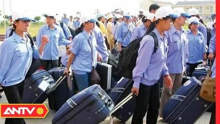 Video ngắn – Giải pháp truyền thông thông minh cho doanh nghiệp nhỏ_Phân phối ma trận